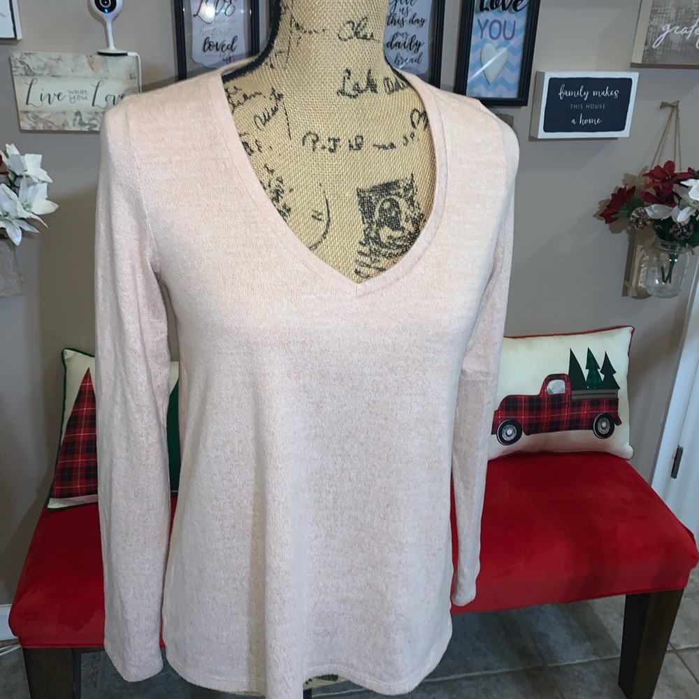American Eagle Outfitters Tops PINK Soft & Sexy Plus Longsleeve